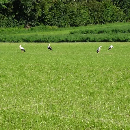 Apartmán Tolles Mit Grosser, Ueberdachter Terrasse Uberlingen