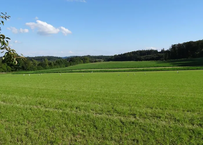 Apartament Tolles Mit Grosser, Ueberdachter Terrasse