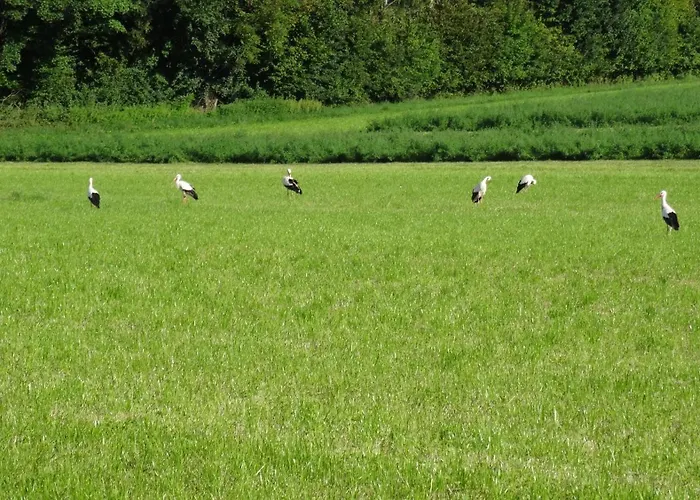 Apartament Tolles Mit Grosser, Ueberdachter Terrasse Uberlingen